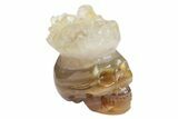 Polished Agate Skull with Quartz Crown #181961-1